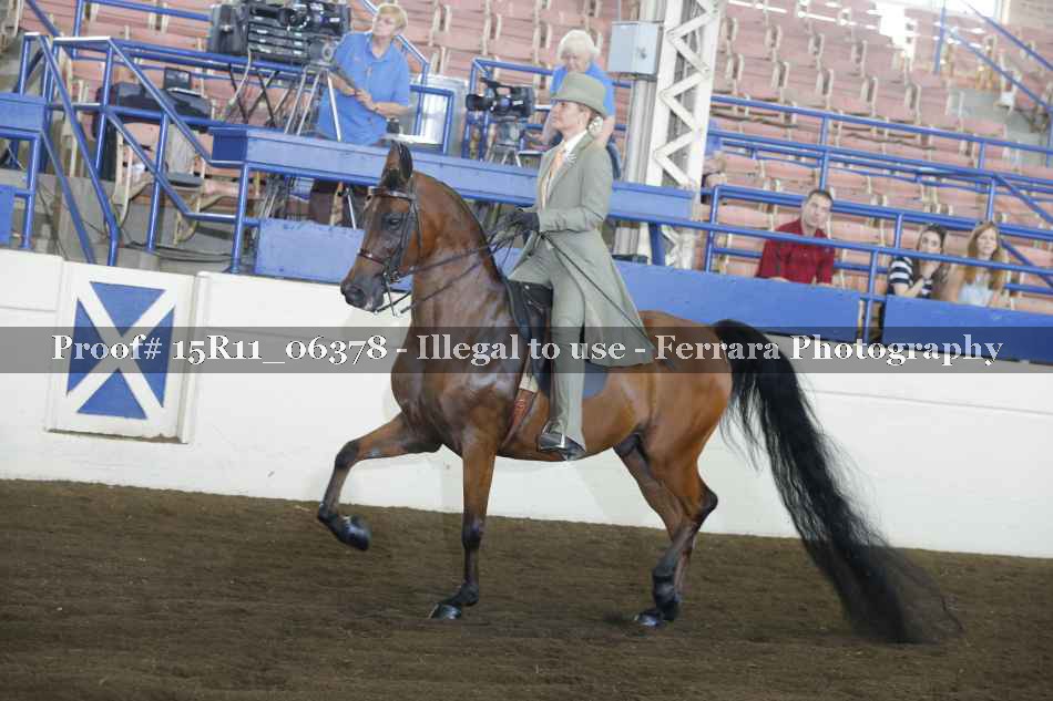 Proof Number 15R11_06378