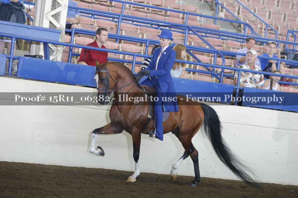 Proof Number 15R11_06382