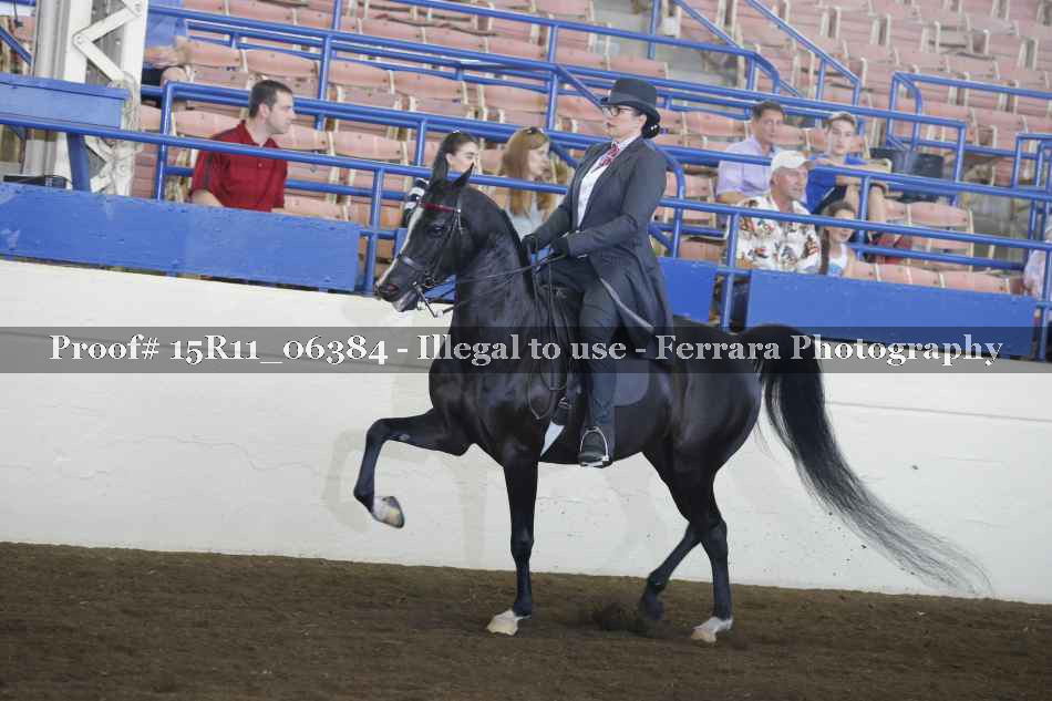 Proof Number 15R11_06384