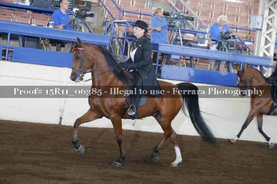 Proof Number 15R11_06385