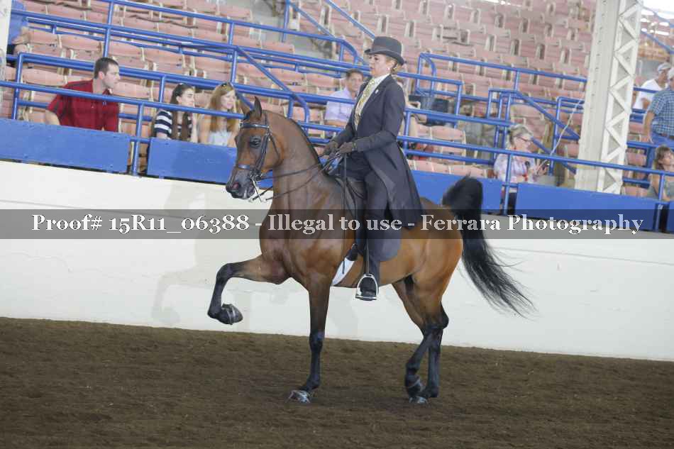 Proof Number 15R11_06388