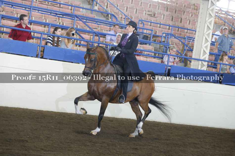 Proof Number 15R11_06392