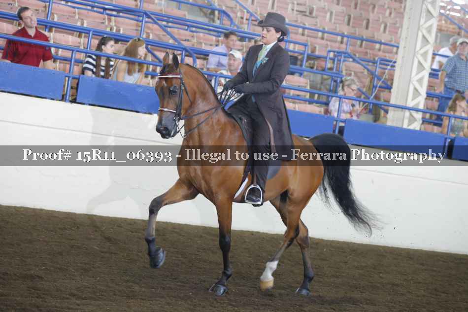 Proof Number 15R11_06393