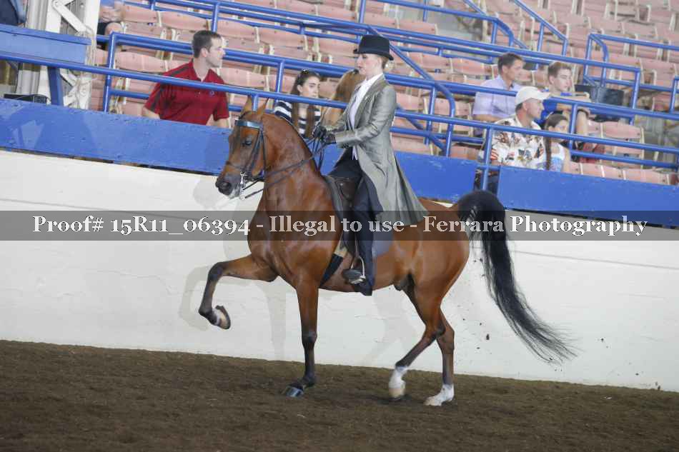 Proof Number 15R11_06394