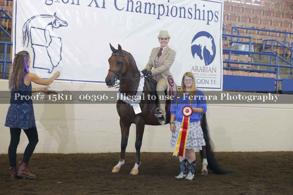 Proof Number 15R11_06396