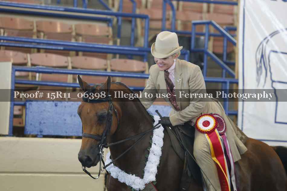 Proof Number 15R11_06398