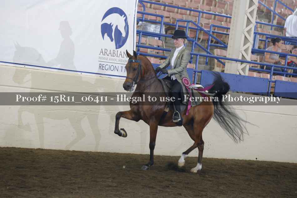 Proof Number 15R11_06411