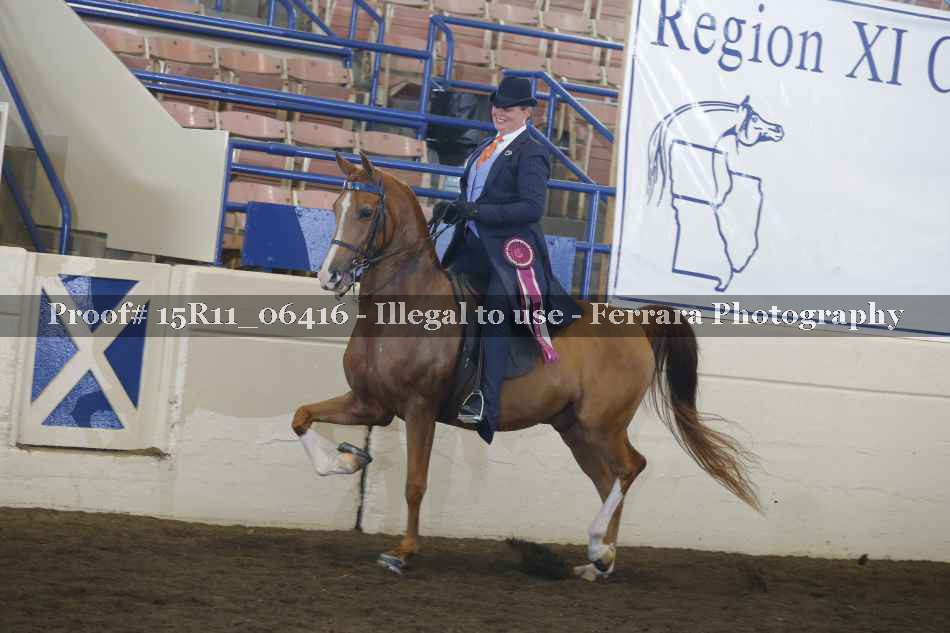 Proof Number 15R11_06416