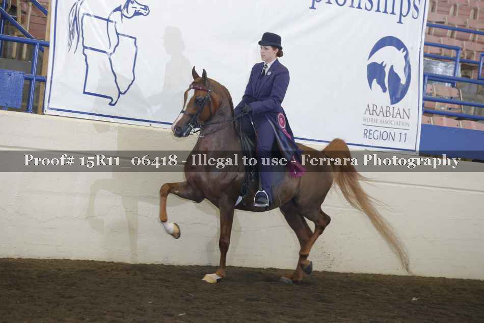 Proof Number 15R11_06418