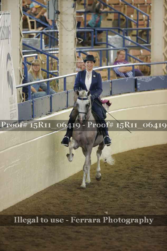 Proof Number 15R11_06419