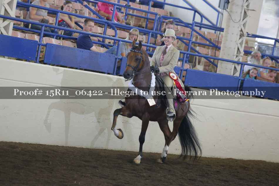 Proof Number 15R11_06422
