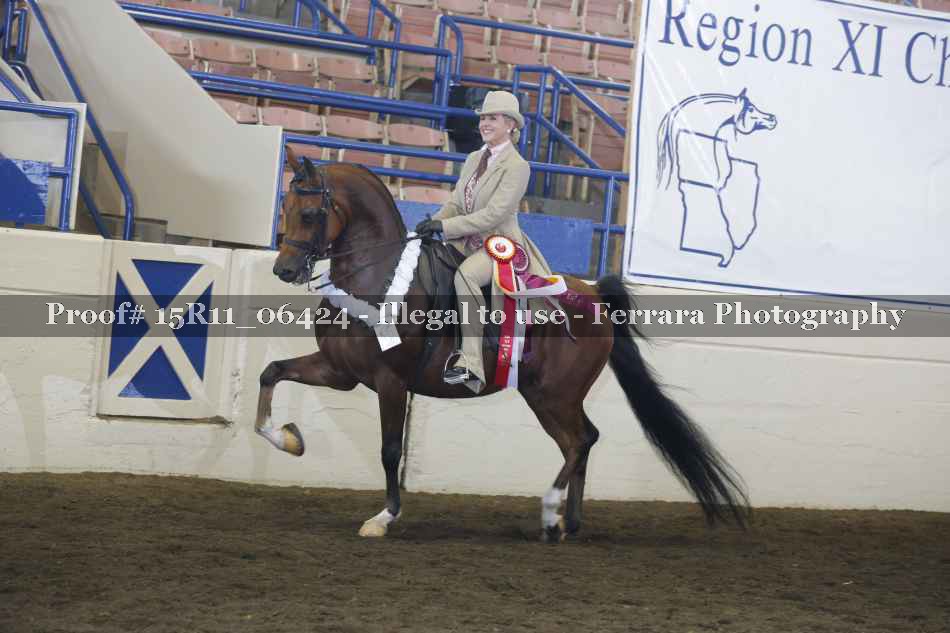 Proof Number 15R11_06424