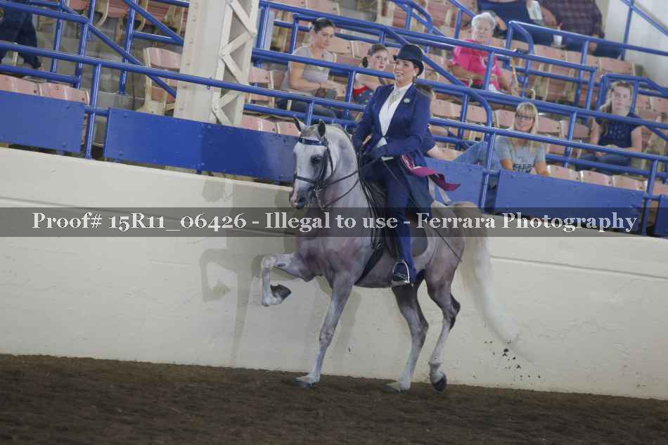 Proof Number 15R11_06426
