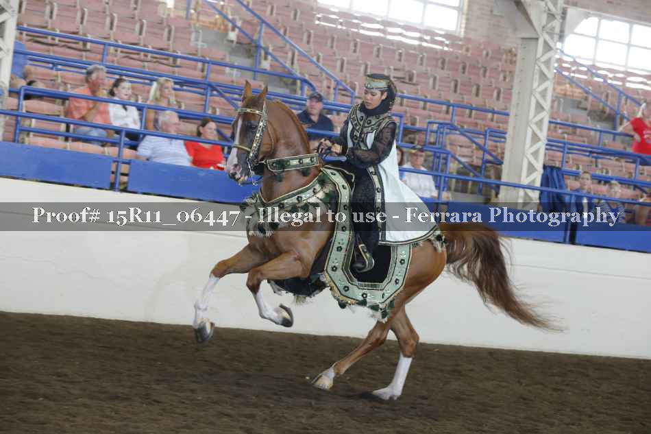 Proof Number 15R11_06447