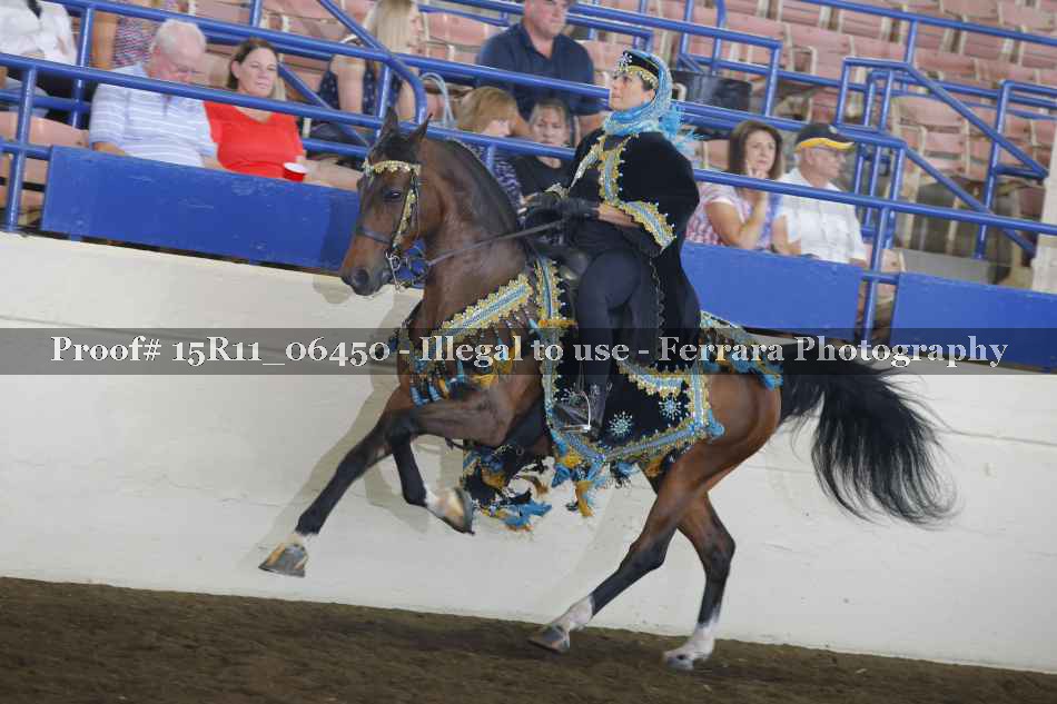 Proof Number 15R11_06450