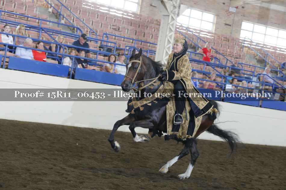 Proof Number 15R11_06453