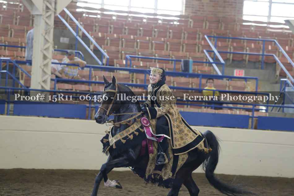 Proof Number 15R11_06456