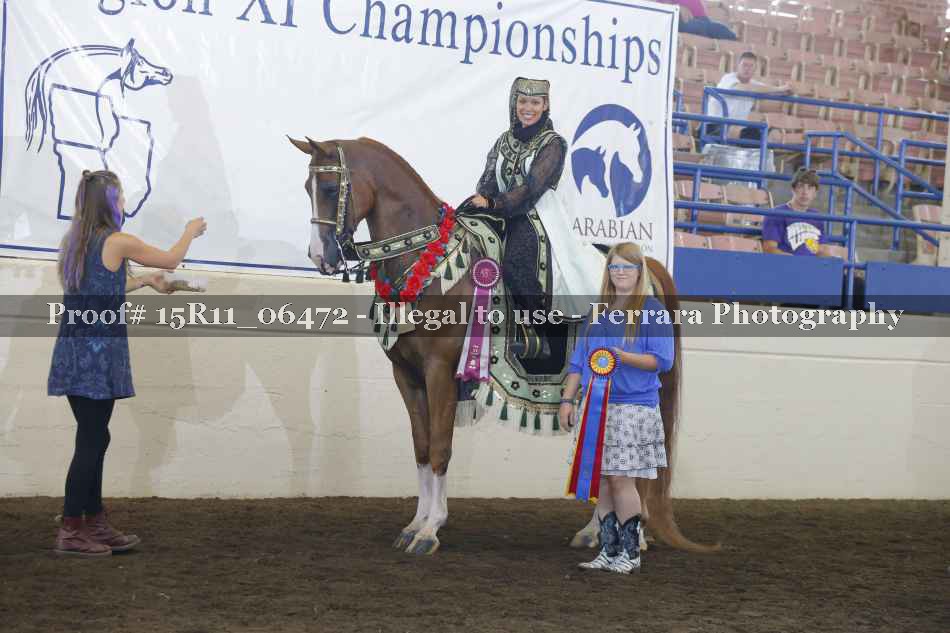 Proof Number 15R11_06472