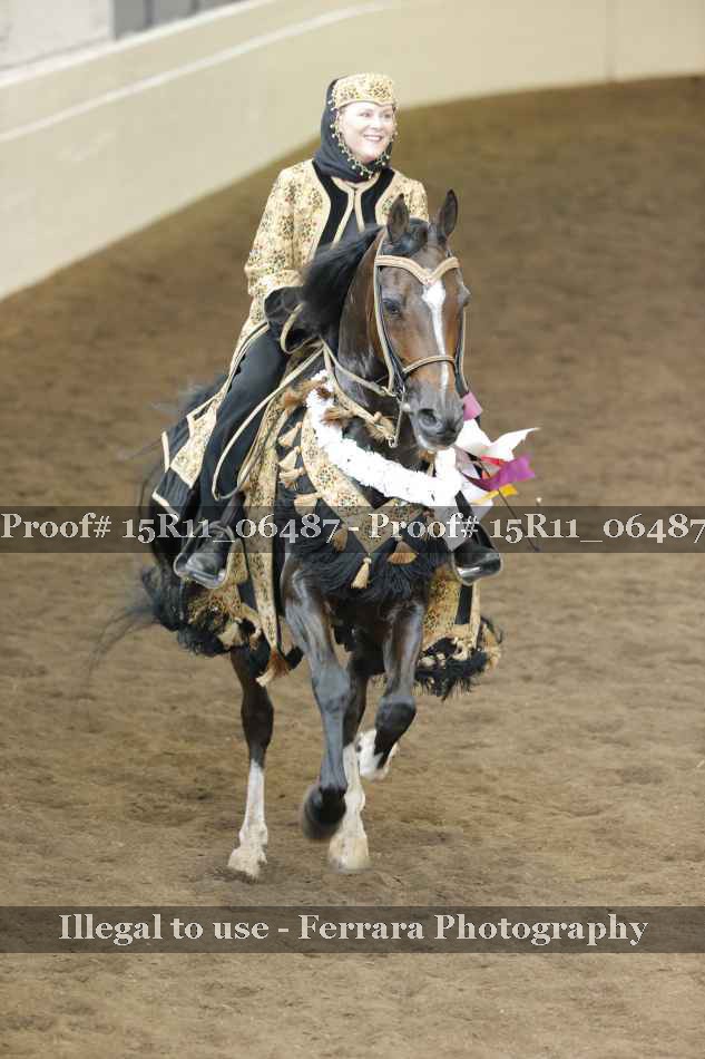 Proof Number 15R11_06487