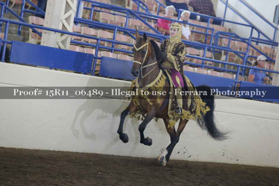 Proof Number 15R11_06489