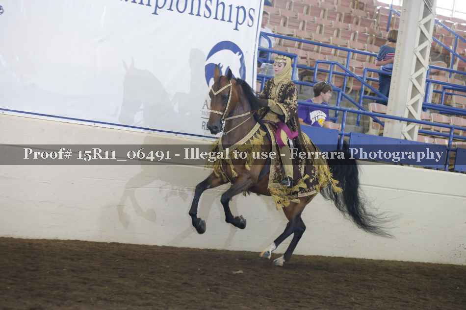 Proof Number 15R11_06491