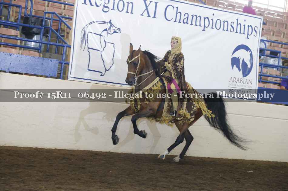 Proof Number 15R11_06492