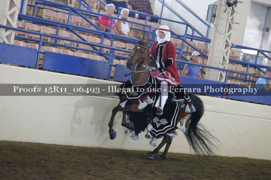 Proof Number 15R11_06493