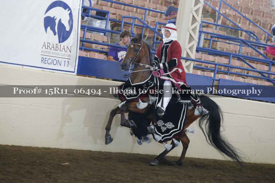 Proof Number 15R11_06494