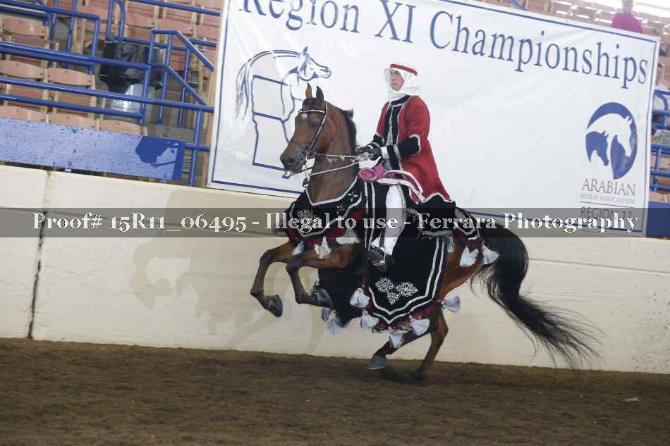 Proof Number 15R11_06495