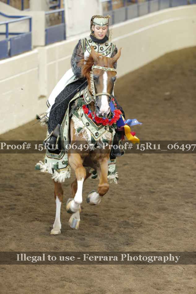 Proof Number 15R11_06497