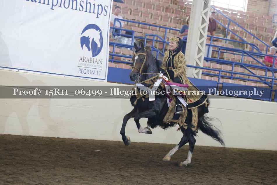 Proof Number 15R11_06499