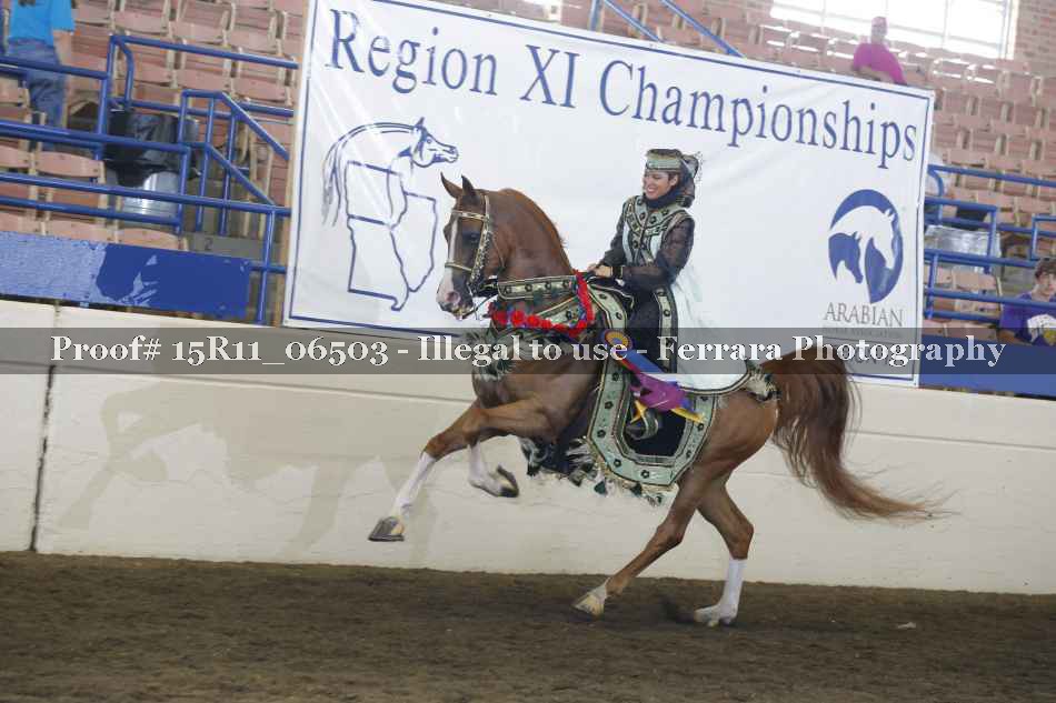 Proof Number 15R11_06503