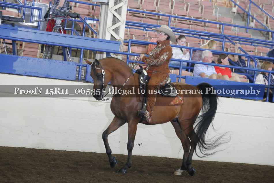 Proof Number 15R11_06535