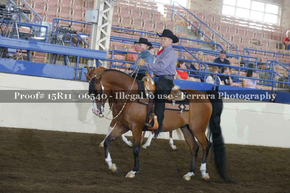 Proof Number 15R11_06540