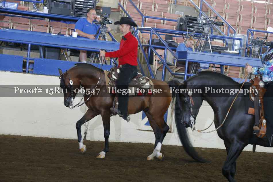 Proof Number 15R11_06547