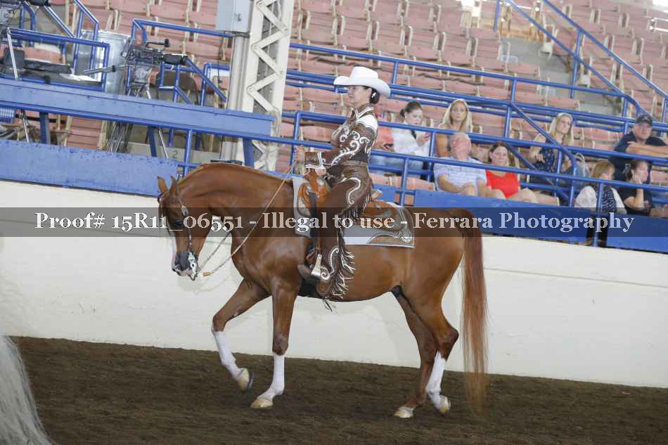 Proof Number 15R11_06551