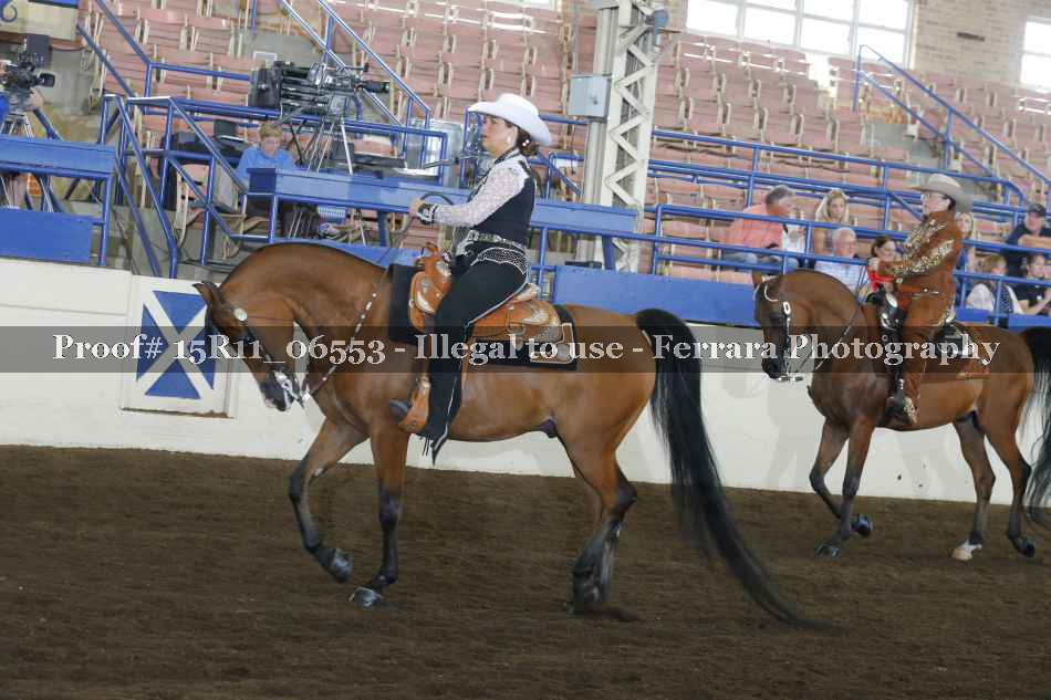 Proof Number 15R11_06553
