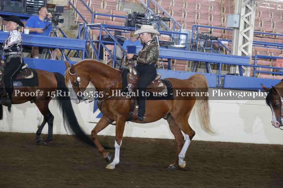 Proof Number 15R11_06555