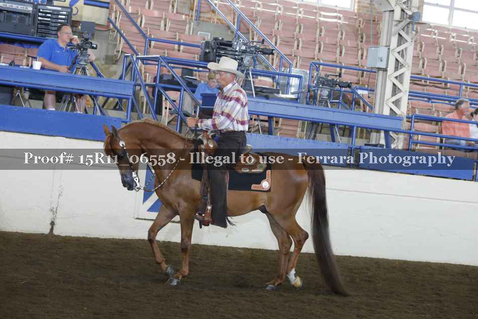 Proof Number 15R11_06558