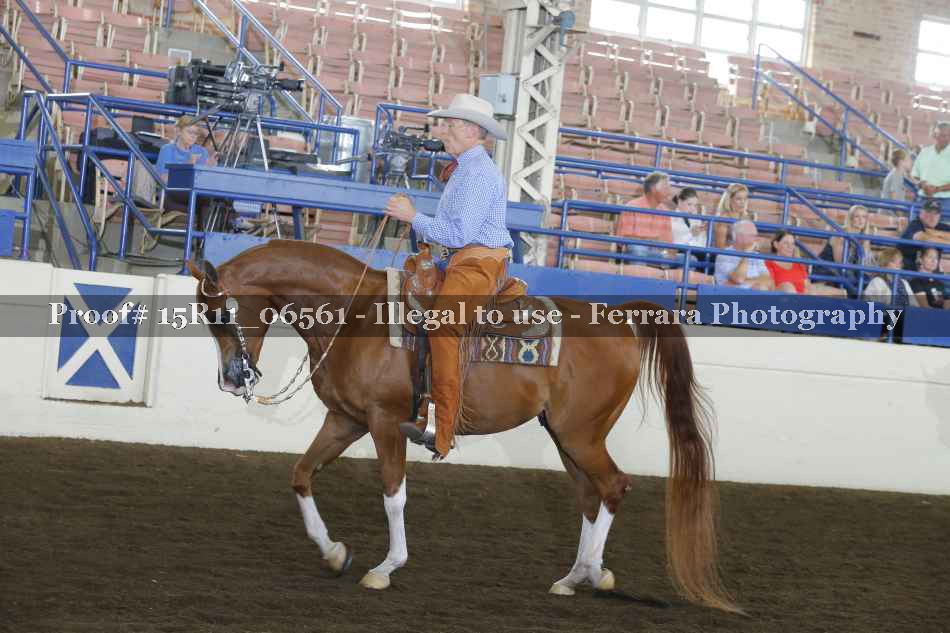 Proof Number 15R11_06561
