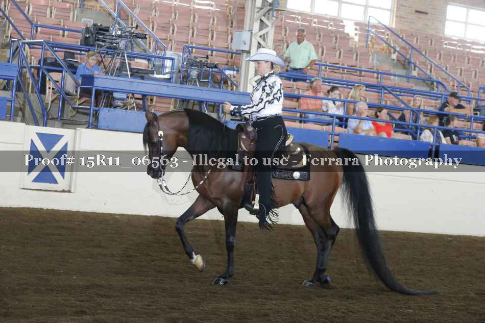 Proof Number 15R11_06563