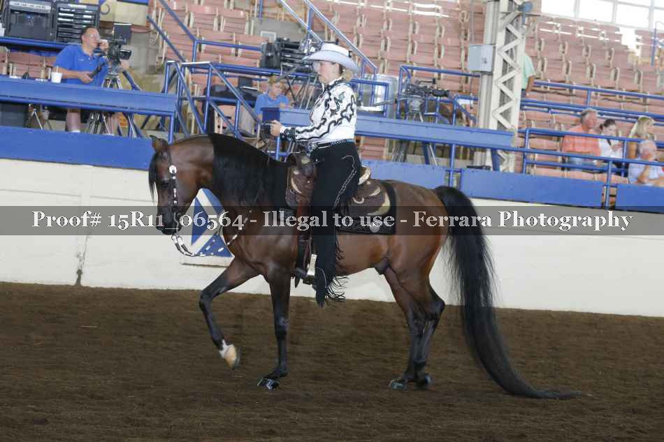 Proof Number 15R11_06564