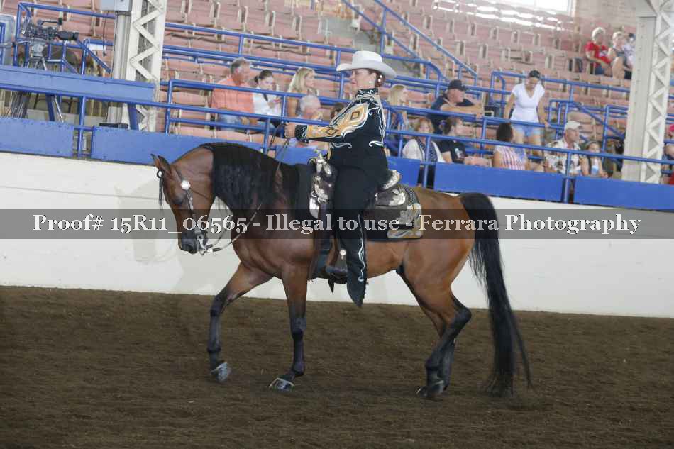Proof Number 15R11_06565
