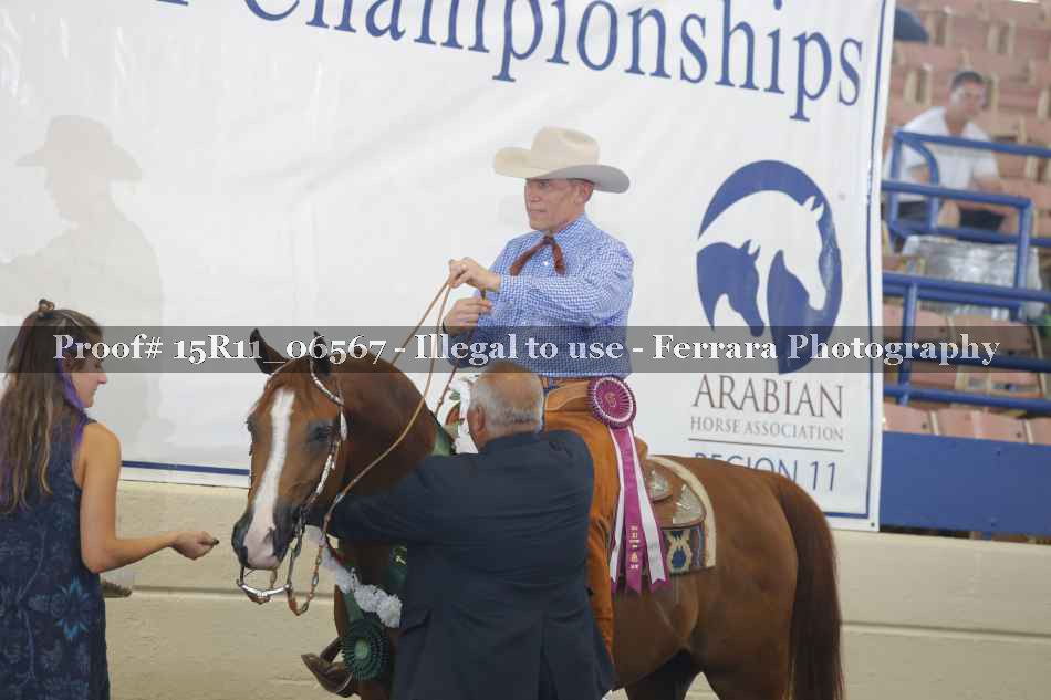 Proof Number 15R11_06567