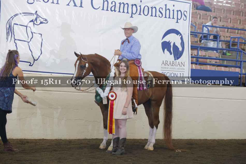 Proof Number 15R11_06570