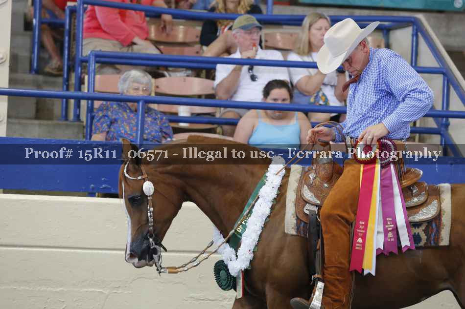 Proof Number 15R11_06571