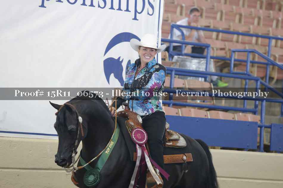 Proof Number 15R11_06573