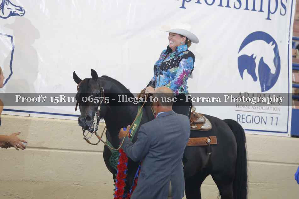 Proof Number 15R11_06575