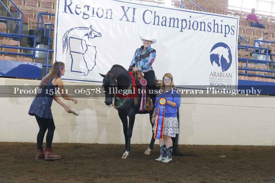 Proof Number 15R11_06578