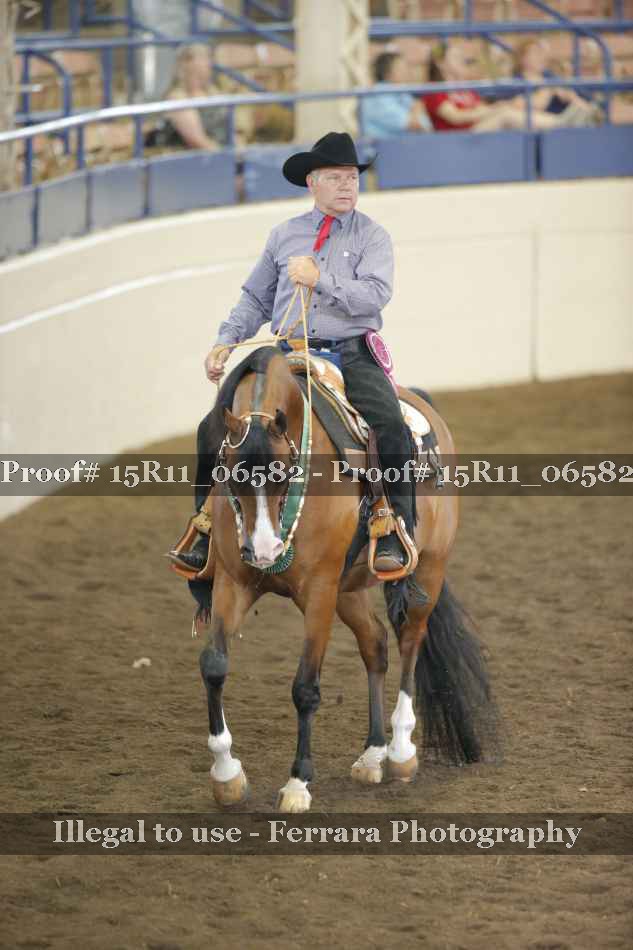 Proof Number 15R11_06582